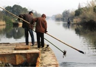 浙江嘉兴渔民放弃捕鱼专捞死猪 称每天挣150元